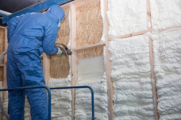 Professional Insulation Removal & Installation in Hartsville, SC